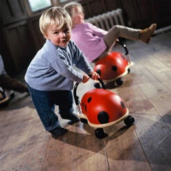 Wheelybug Lieveheersbeestje 10 Wheelybug Lieveheersbeestje -Kinderspeelgoedwinkel image 1270