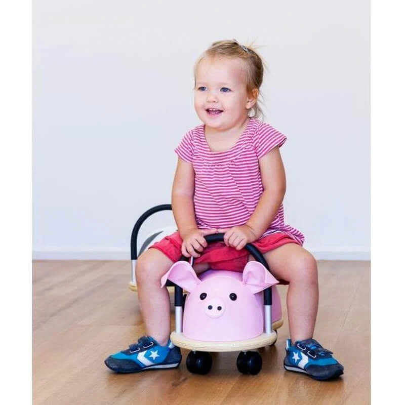 Wheelybug Varken 6 Wheelybug Varken - Afbeelding 4