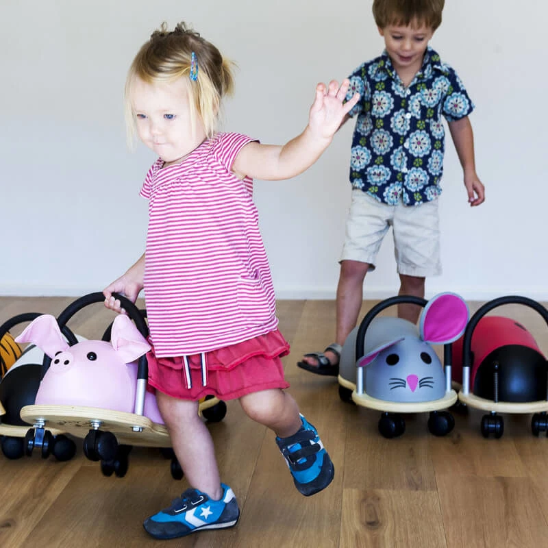 Wheelybug Varken 7 Wheelybug Varken - Afbeelding 5