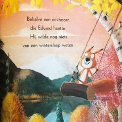 Twee Vechtende Eekhoorntjes -Kinderspeelgoedwinkel image 1458