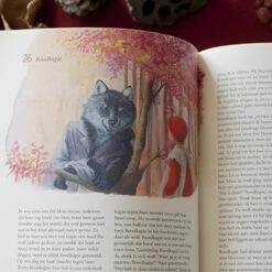 De Sprookjes Van Grimm -Kinderspeelgoedwinkel image 1492