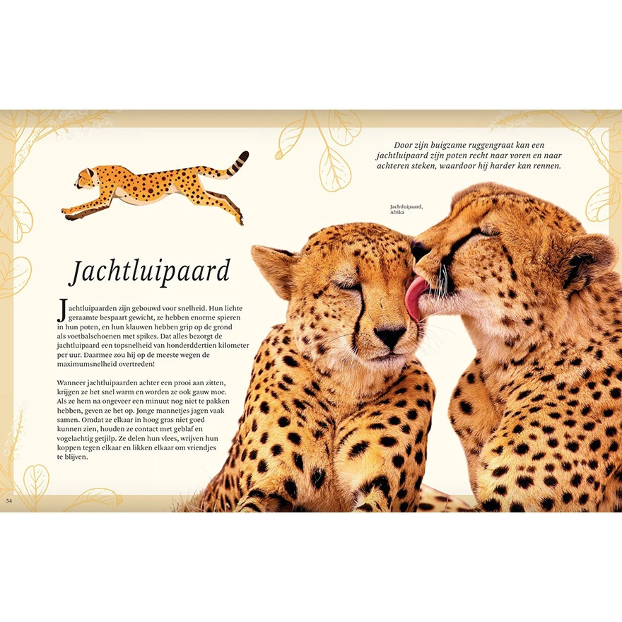 Het Dikke Boek Van Alle Bijzondere Dieren 7 Het Dikke Boek Van Alle Bijzondere Dieren - Afbeelding 5