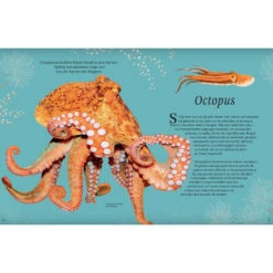 Het Dikke Boek Van Alle Bijzondere Dieren 13 Het Dikke Boek Van Alle Bijzondere Dieren -Kinderspeelgoedwinkel image 1544