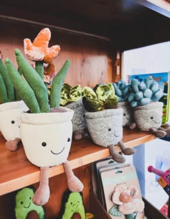 Jellycat Silly Succulent Jade -Kinderspeelgoedwinkel image 1734